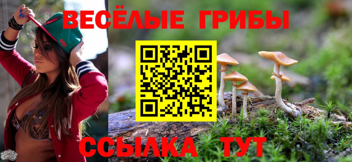 Горно-Алтайск  Галлюциногенные грибы ЛСД  Псилоцибиновые грибы прущие грибы  продажа наркотиков  Вход с VPN 