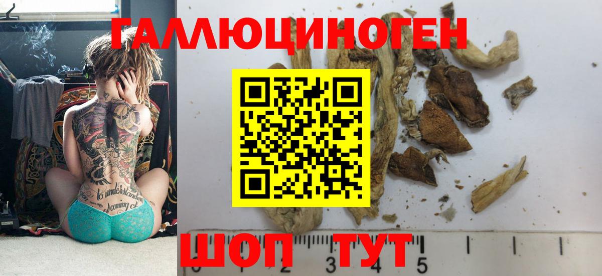 Галлюциногенные грибы Magic Shrooms Горно-Алтайск